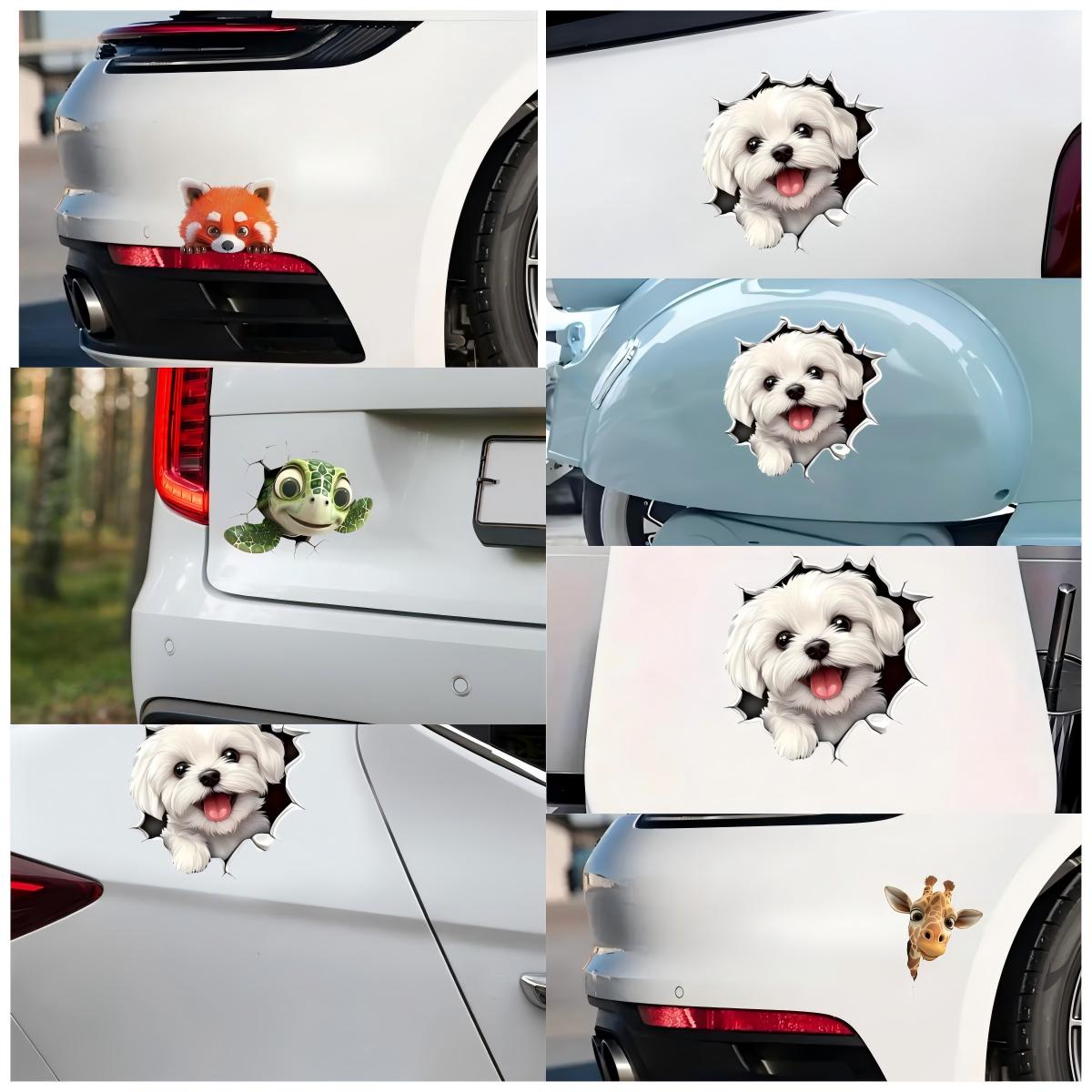 Modna naklejka winylowa, odpor – Car Accessories You Must Have recenzja i cena