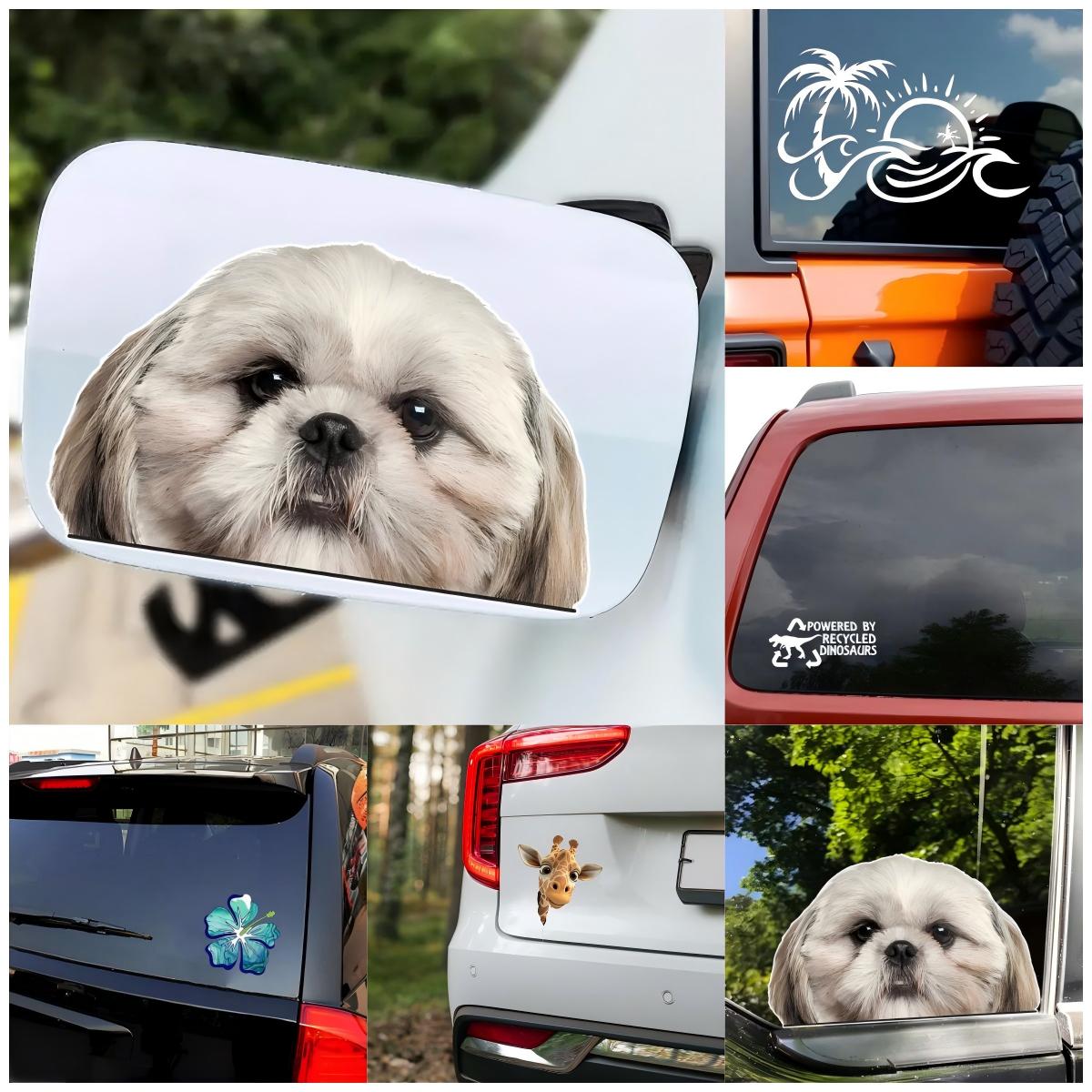 Naklejka na okno z winylu, prz – Car Accessories You Must Have recenzja i cena